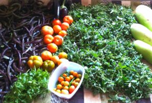 post-Beauty and Bounty on a Rural Farm