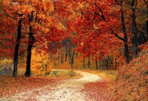 post-Nature: The Pathway to God-Realization